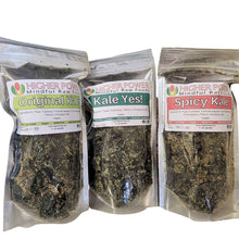 Load image into Gallery viewer, Higher Power Raw Foods - Spicy Organic Kale Chips
